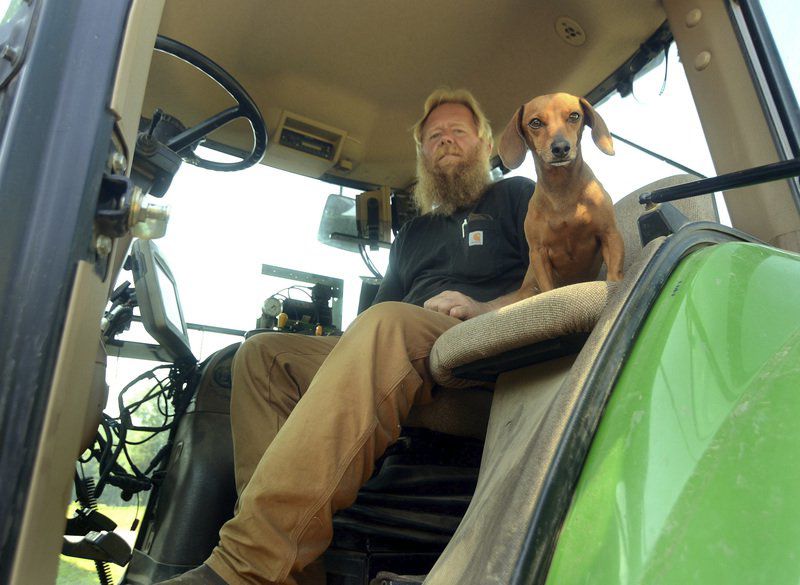 Jack and Mike Strain are father-and-son farmers
